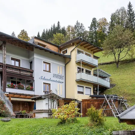 Luxurious In Near Ski Area Apartment